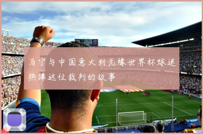 马宁与中国意大利无缘世界杯球迷热捧这位裁判的故事